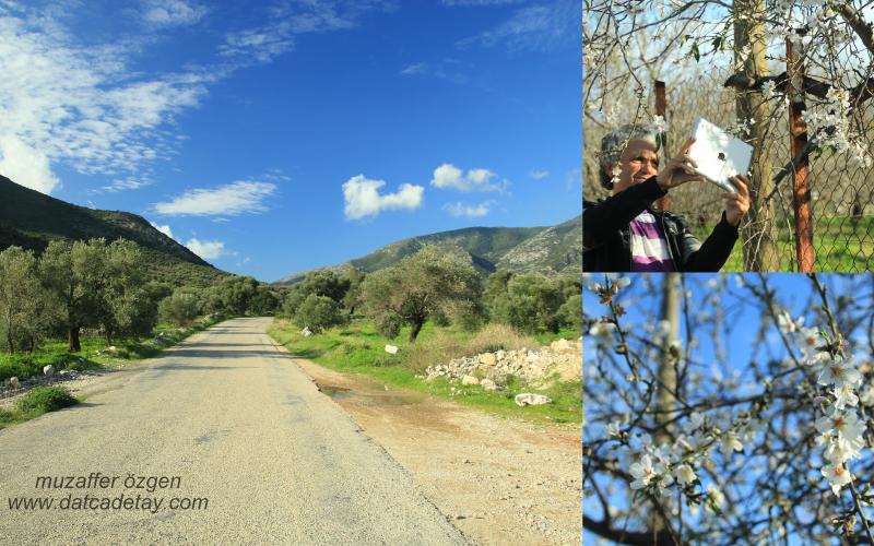 palamutbükü çeşme yolu