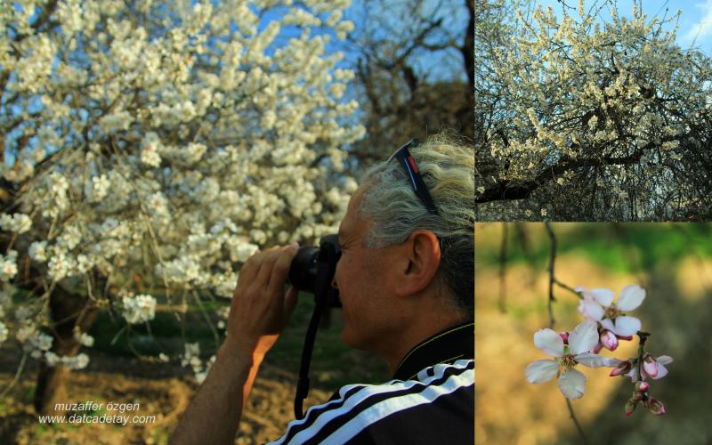 daglar-seslenince-49