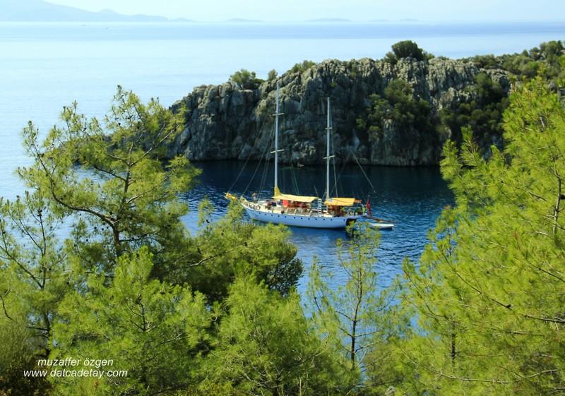 datça akvaryum koyu