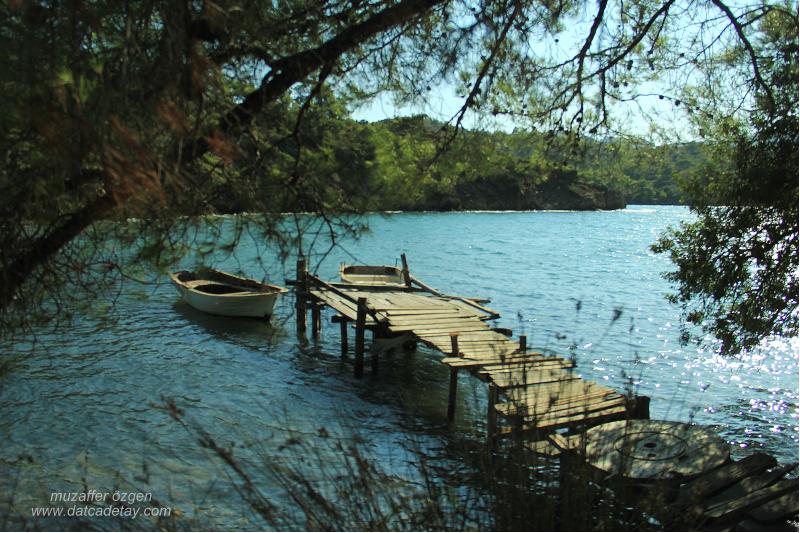 balıkaşıran koyları