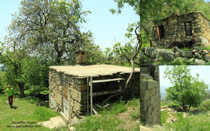 milas kocayayla yayla evi