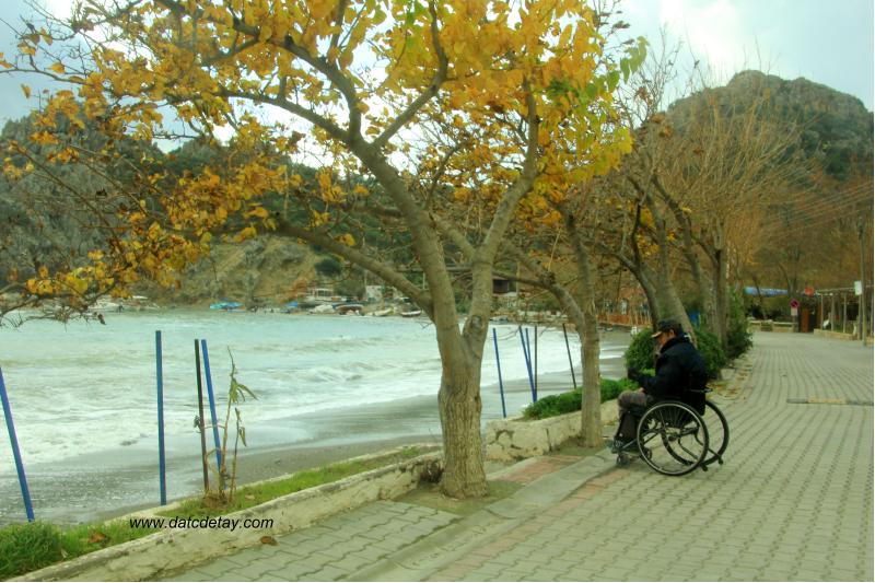 sonbaharda hayıtbükü