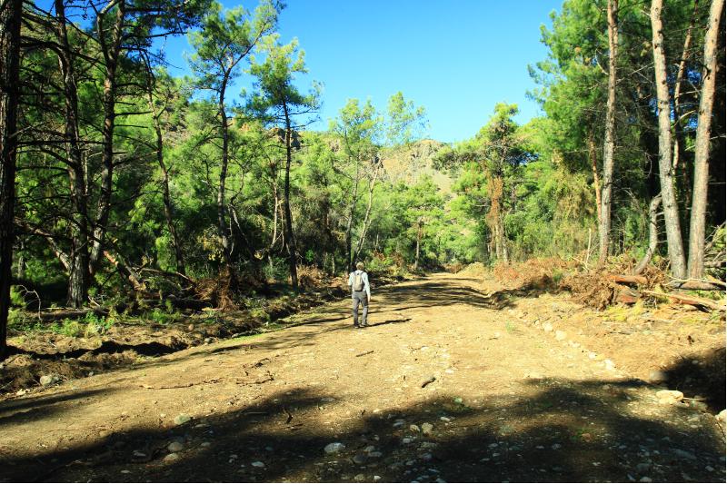 kızılbük yolu