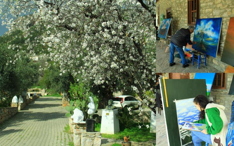 knidos akademi'de badem çiçekleri konulu çalıştay