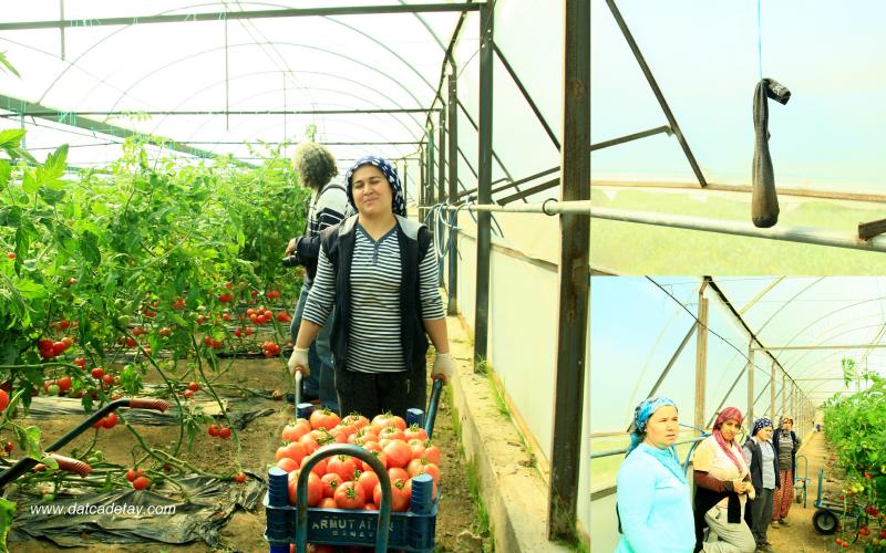 emekçi kadınlar gününde çalışanlar