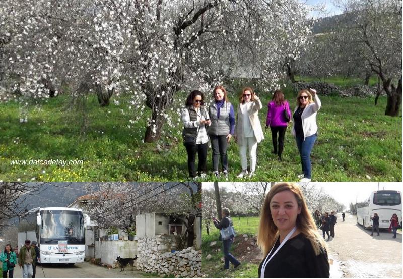 badem festivali kumyer'de çiçekler