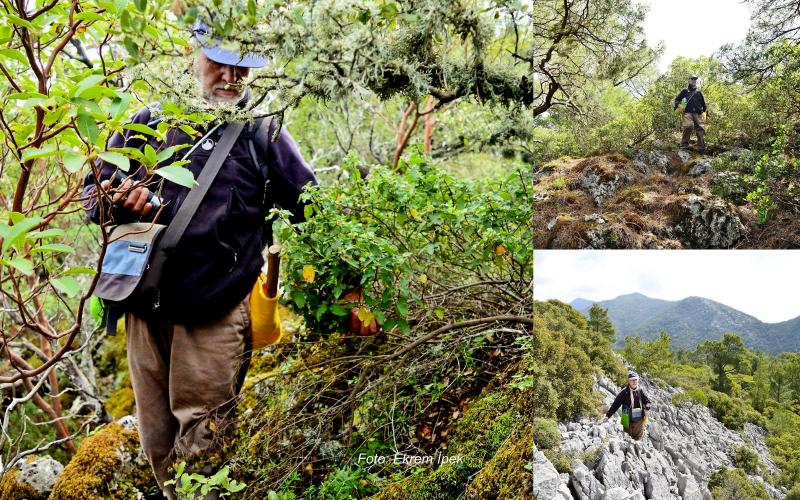 sındı prmanlarında trekking